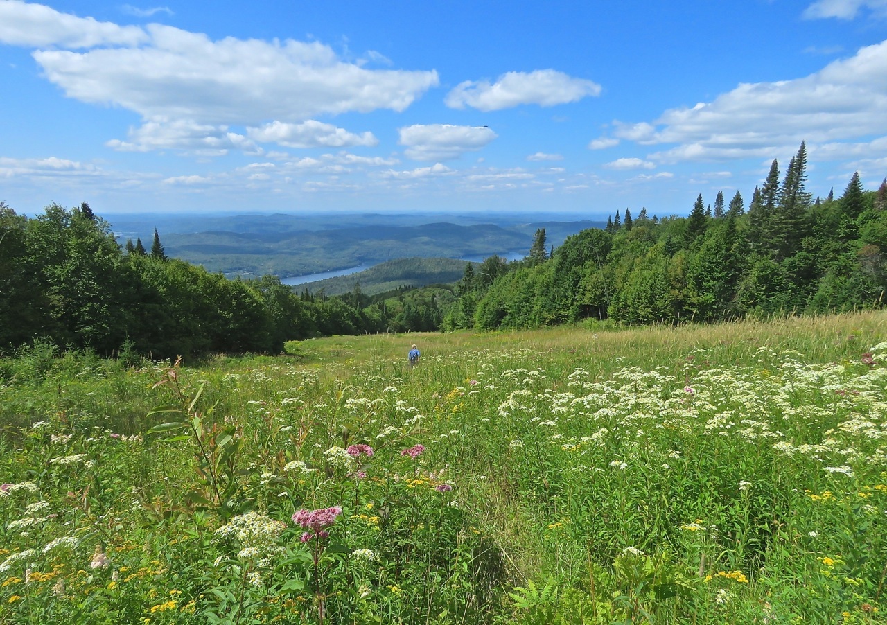 www.Tremblant360.com Photo. All rights reserved.