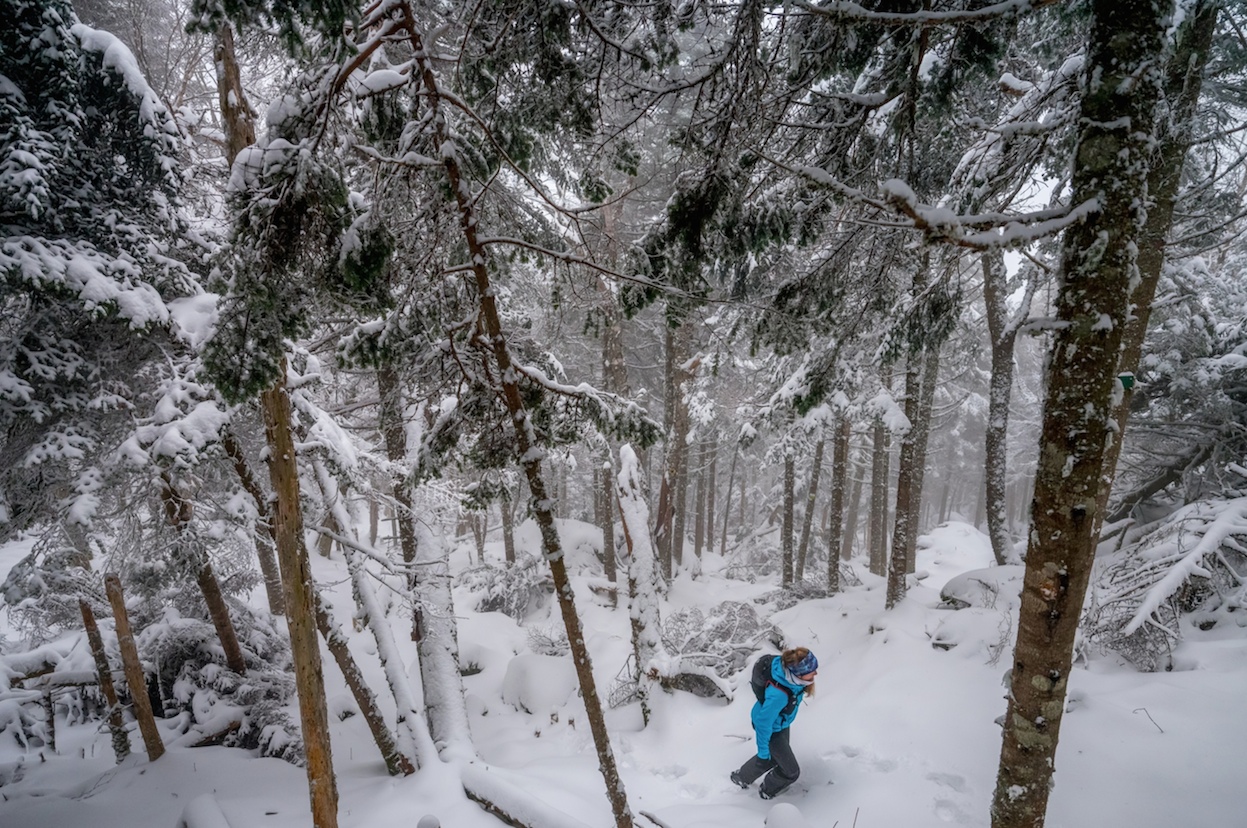 Screenshot Courtesy of Tremblant.ca