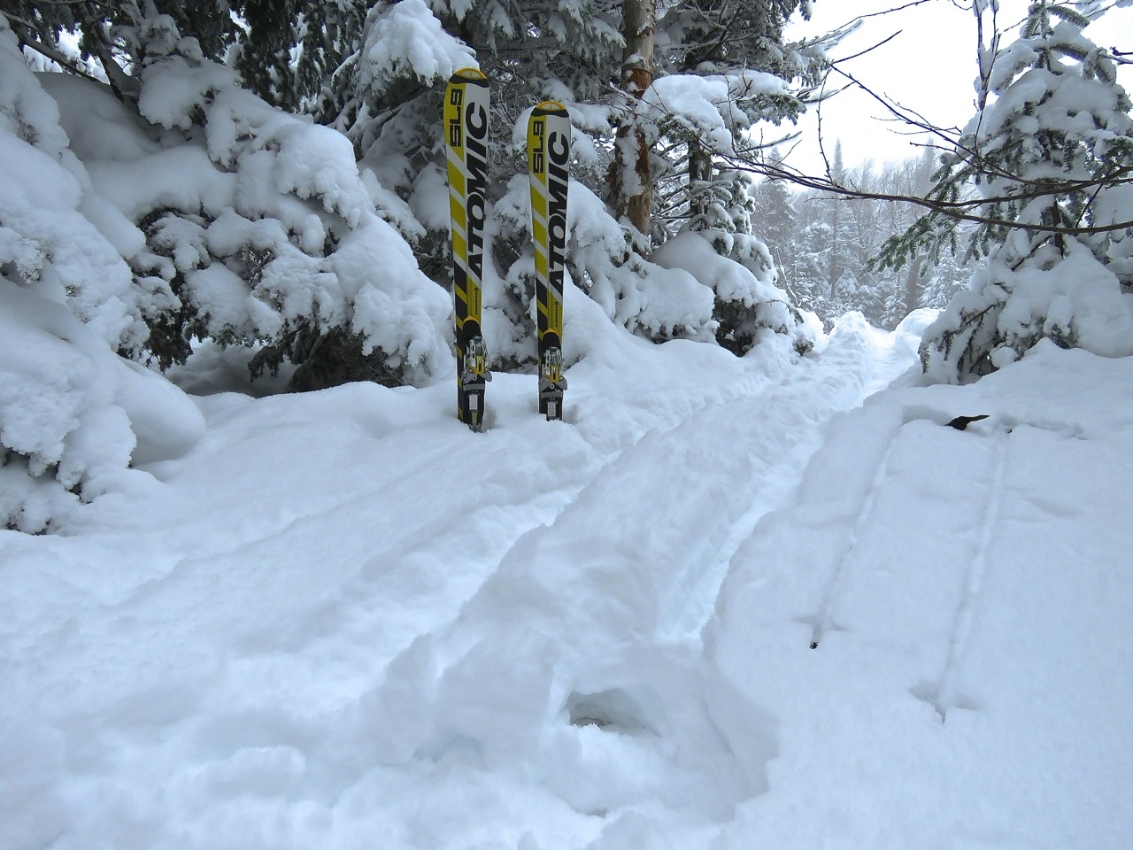 www.Tremblant360.com photo. All rights reserved.