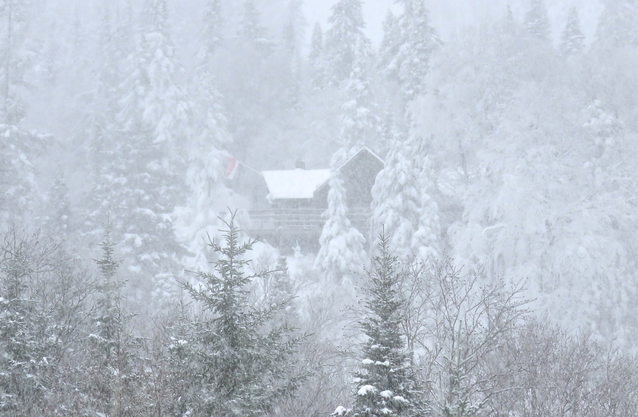 www.Tremblant360.com photo. All rights reserved.