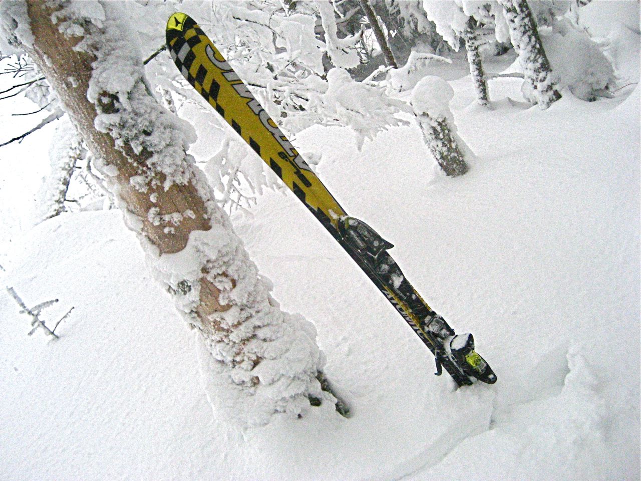 www.tremblant360.com photo. All rights reserved.