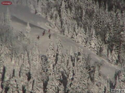 Web Cam Snap Shot courtesy of www.tremblant.ca