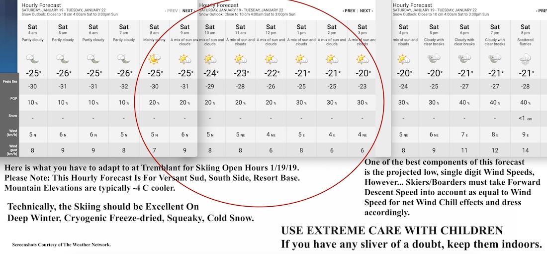 1.19.19.Weather.Data.b.jpg