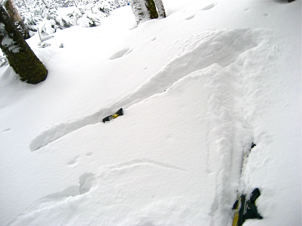 www.tremblant360.com photo. All rights reserved.