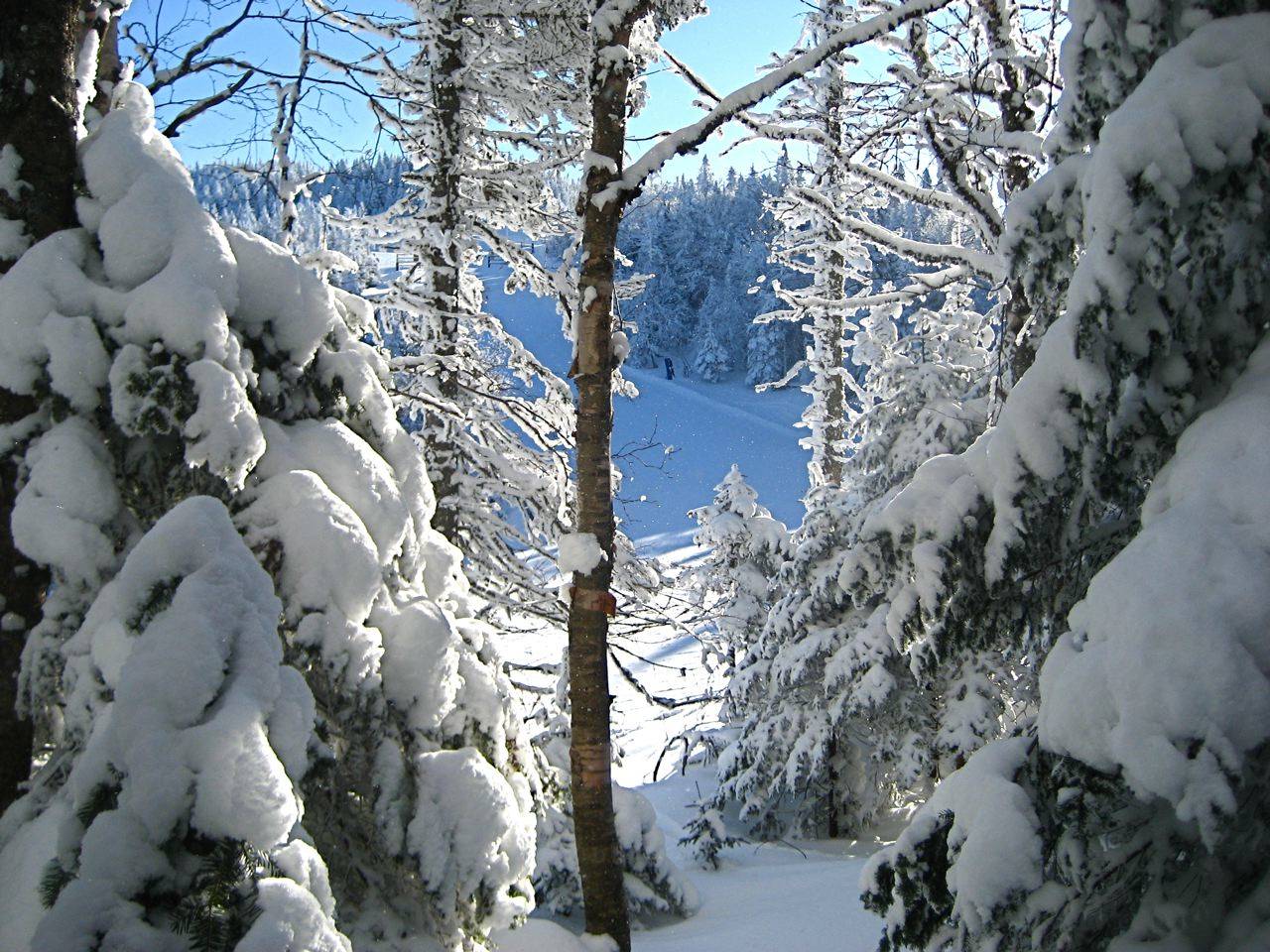 www.tremblant360.com photo. All rights reserved.