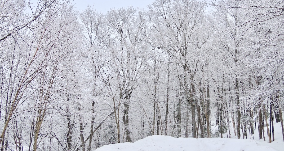 www.Tremblant360.com Photo. All Rights Reserved.