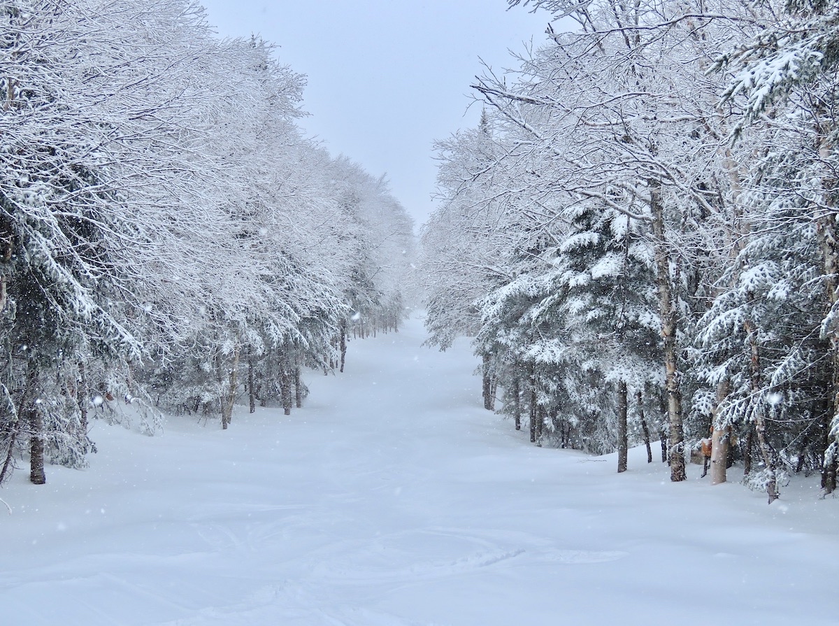 www.Tremblant360.com Photo. All Rights Reserved.