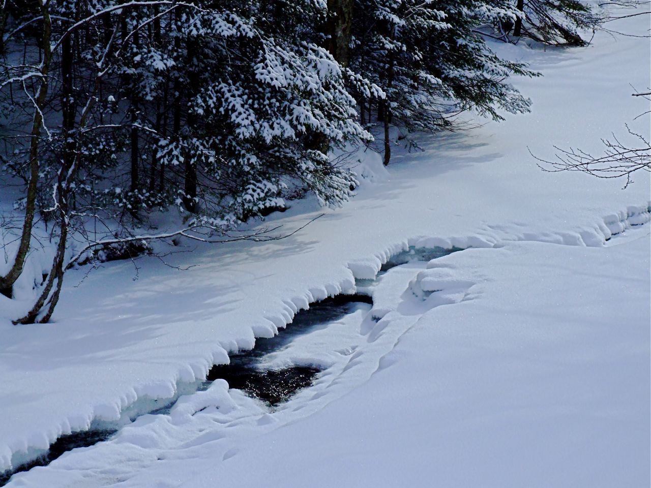 www.tremblant360.com photo. All rights reserved