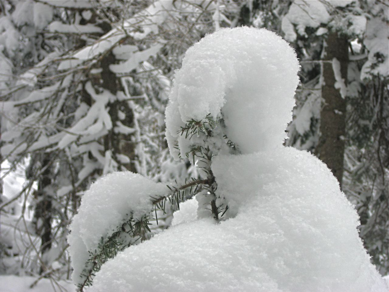 www.tremblant360.com photo. All rights reserved.