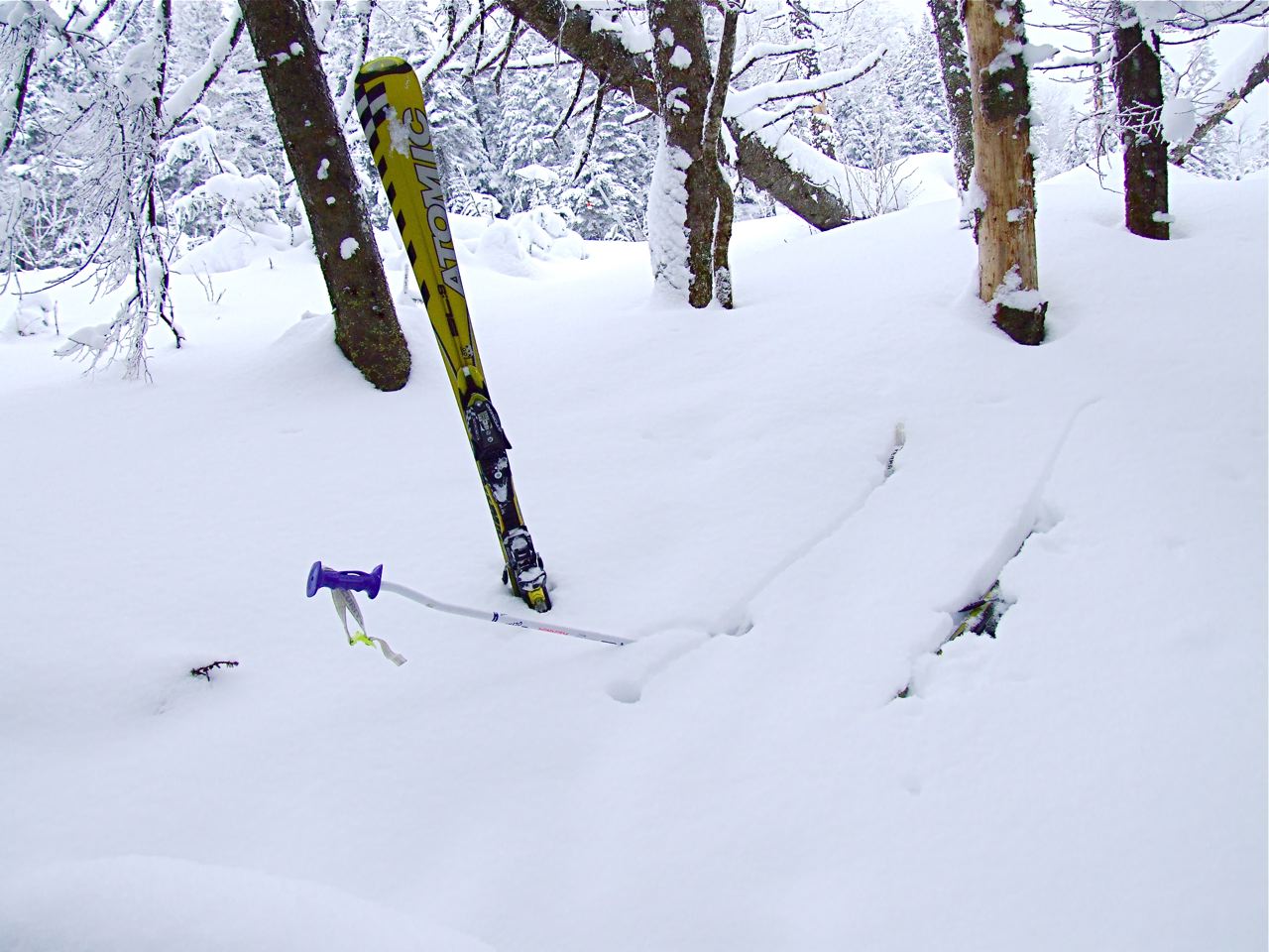 www.tremblant360.com photo. All rights reserved.