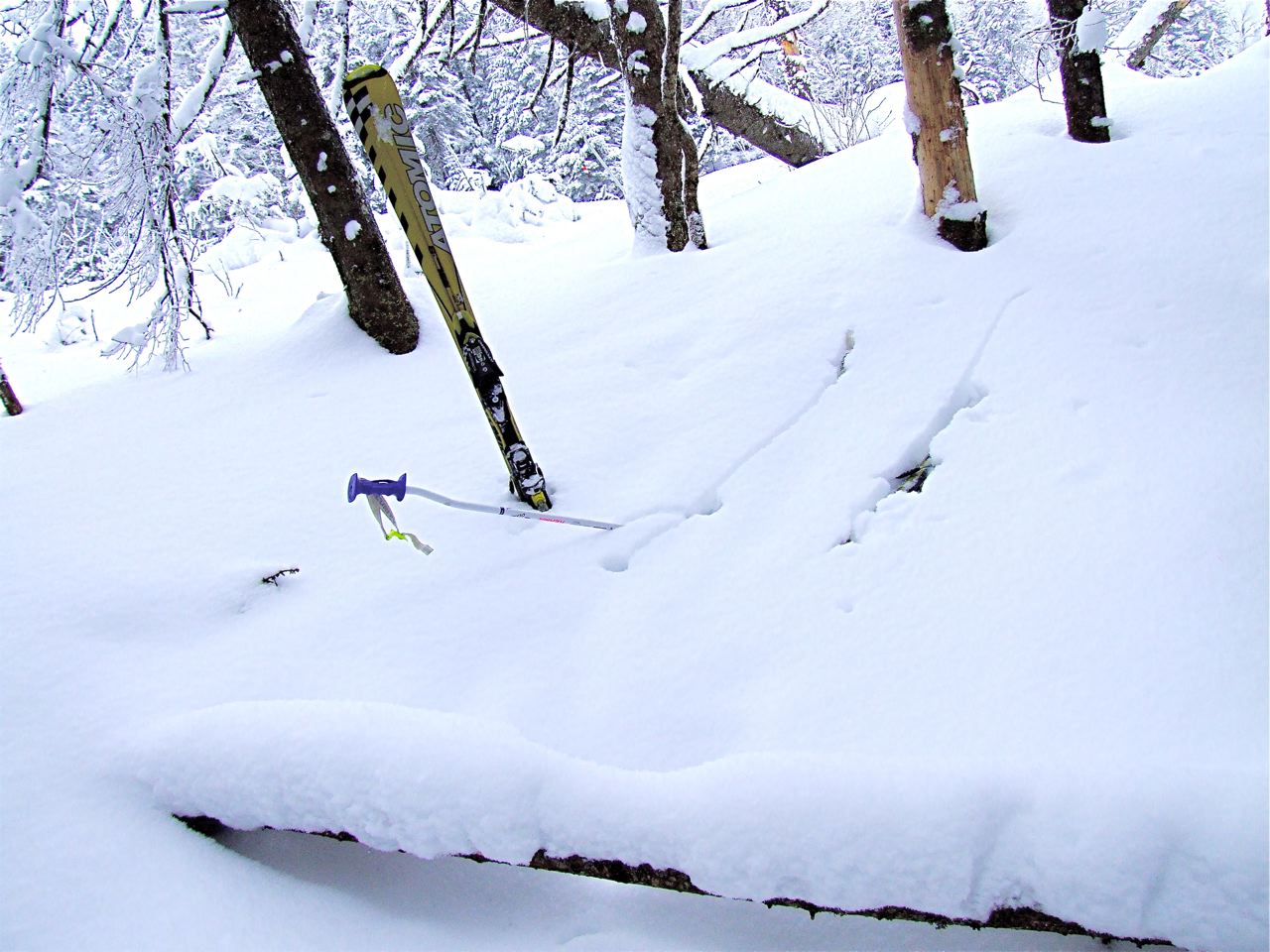 www.tremblant360.com photo. All rights reserved.