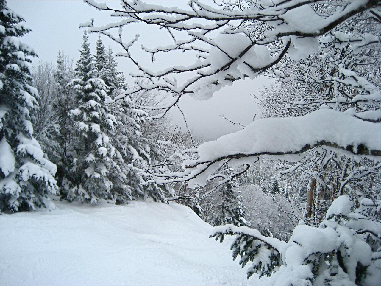 www.tremblant360.com photo. All rights reserved.