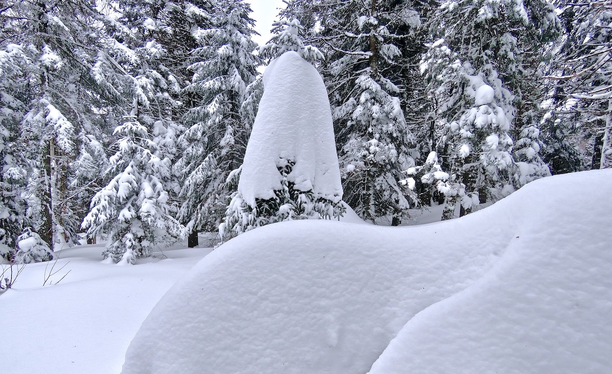 www.Tremblant360.com Photo. All Rights Reserved.