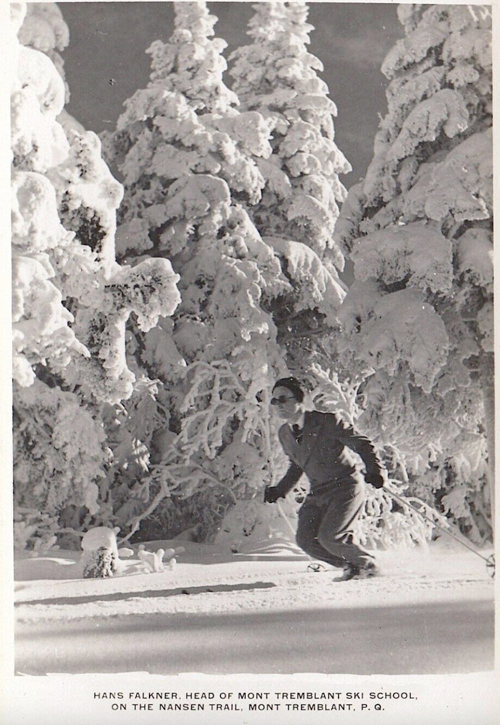 Hans.Falkner.Mt.T.Ski.School.Director.On.Nansen.a.jpg