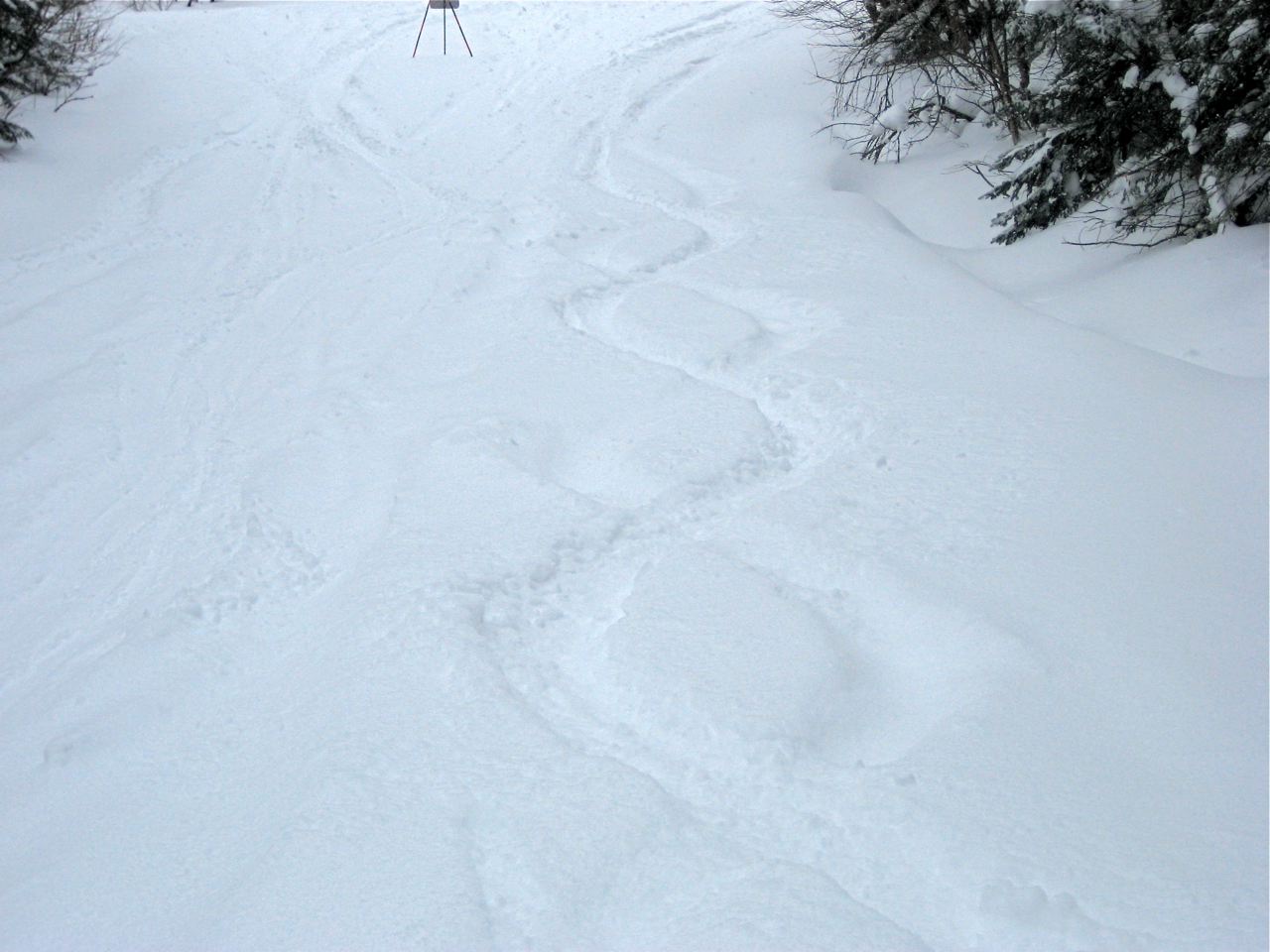 www.tremblant360.com photo. All rights reserved.