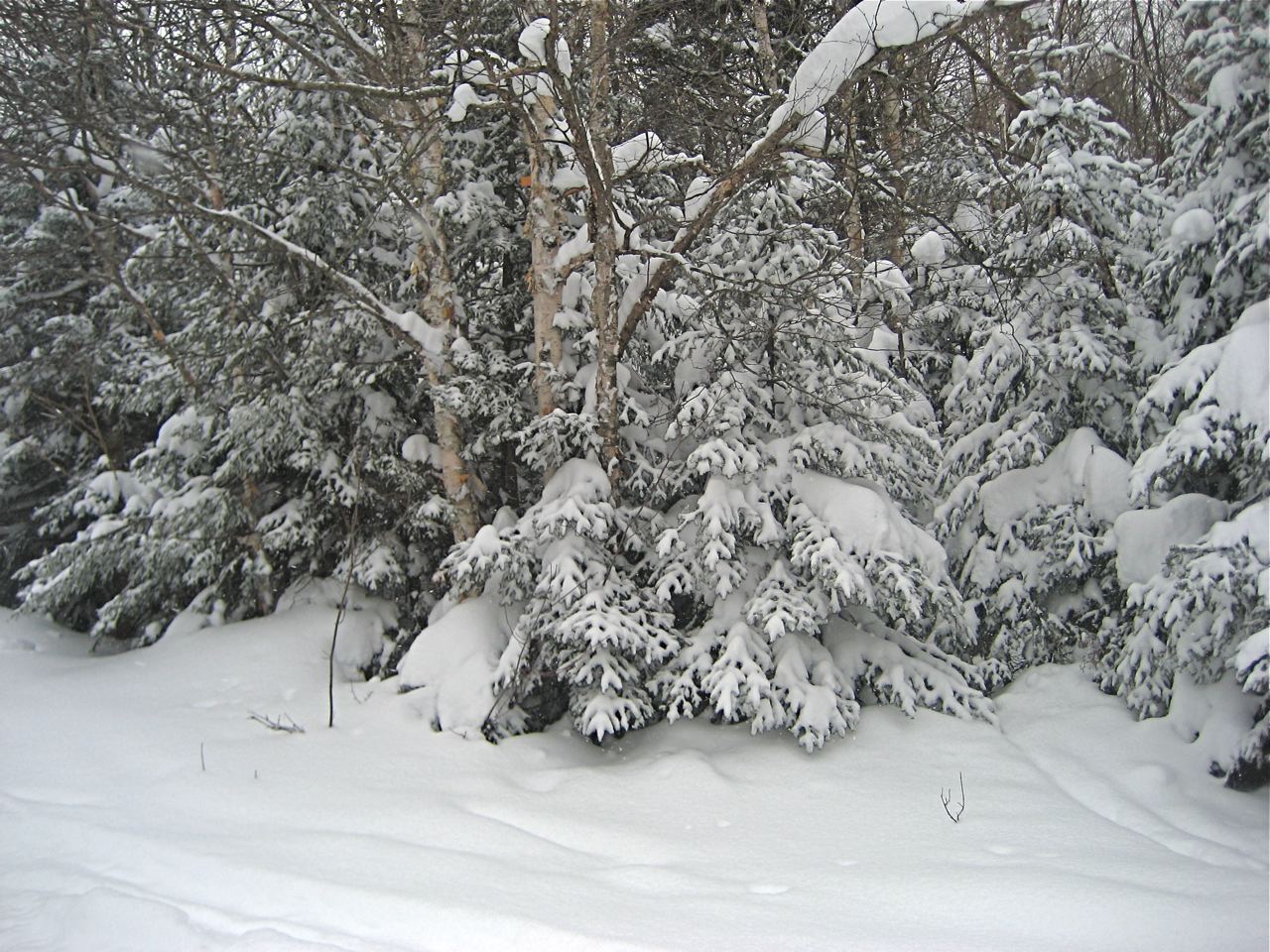 www.tremblant360.com photo. All rights reserved.