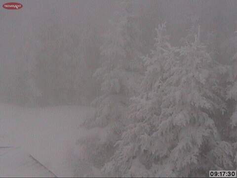 Web Cam Snap Shot Courtesy of www.tremblant.ca