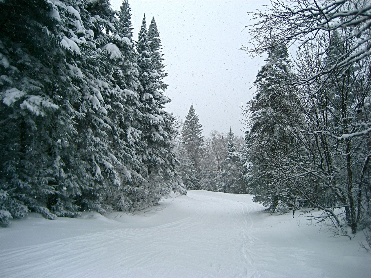 www.tremblant360.com photo. All rights reserved.