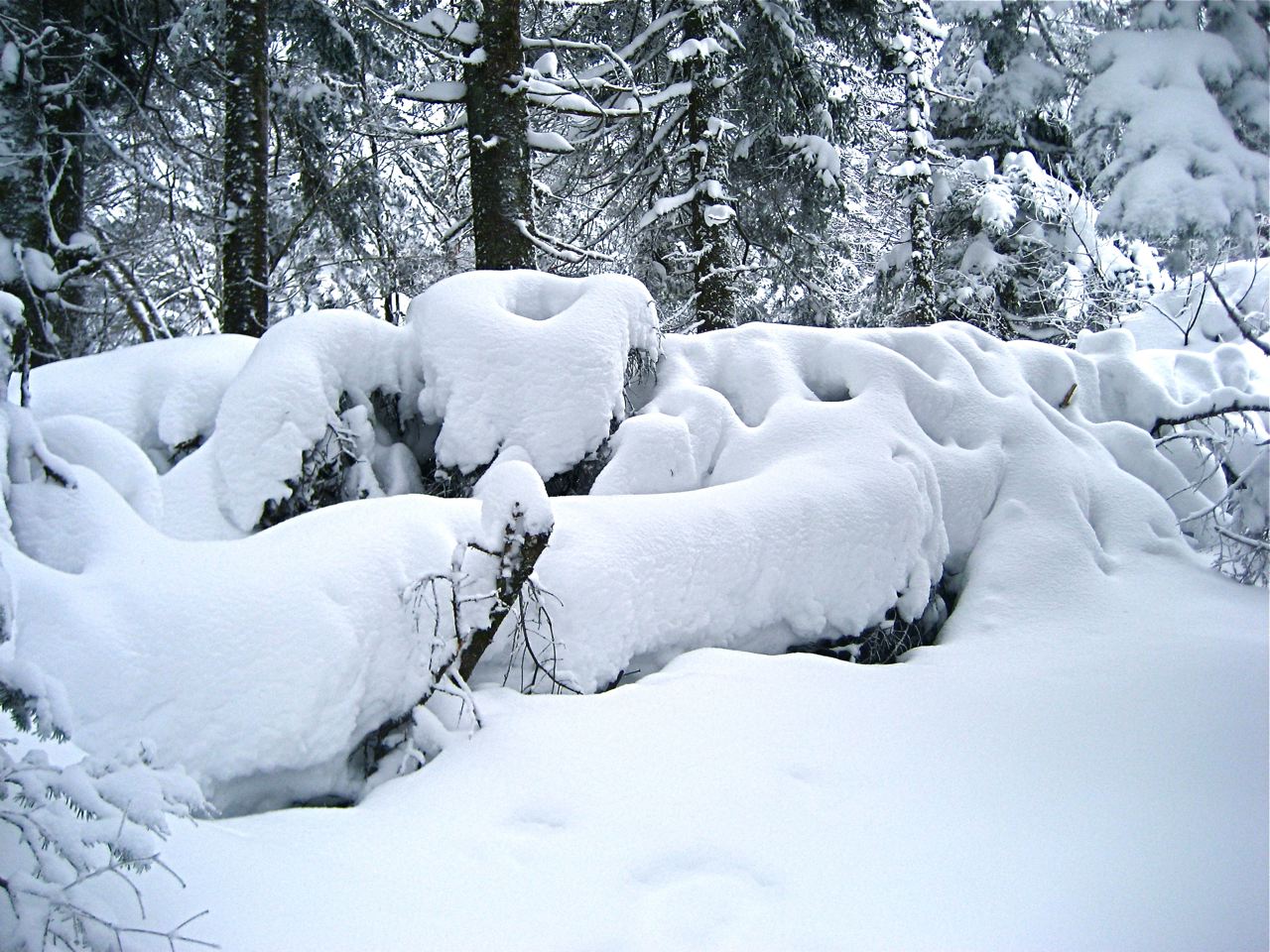 www.tremblant360.com photo. All rights reserved.