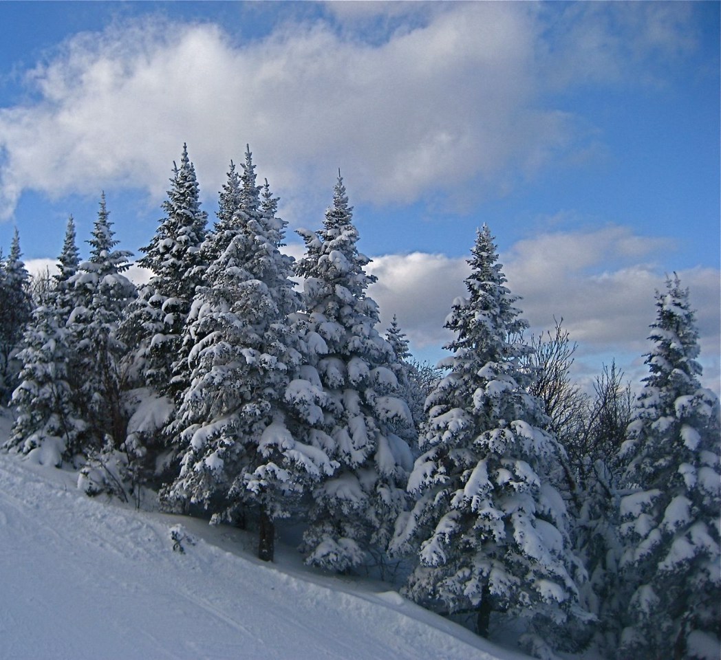 www.tremblant360.com Photo. All rights reserved.