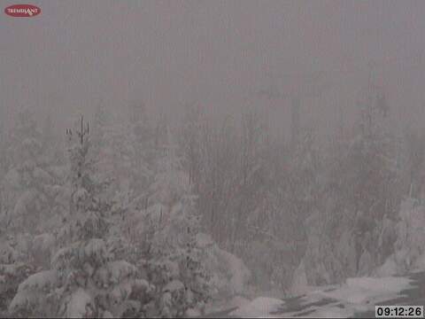 Web Cam Snap Shot Courtesy of www.tremblant.ca
