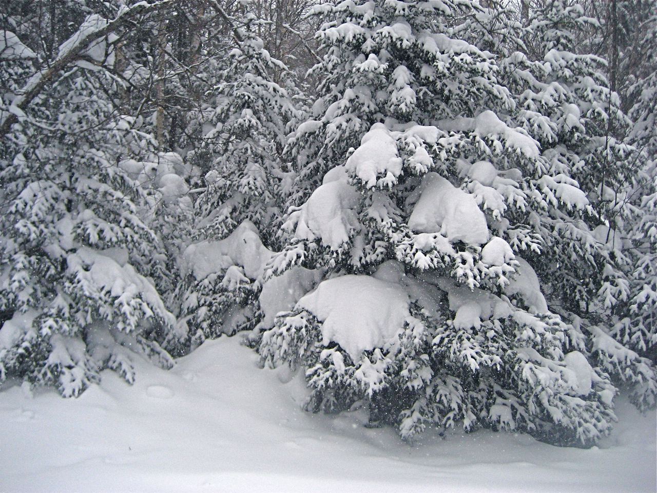 www.tremblant360.com photo. All rights reserved.