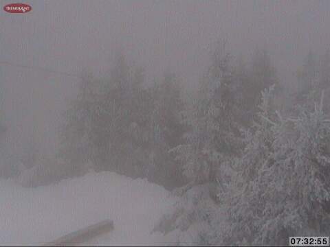Web Cam Snap Shots Courtesy of http://www.tremblant.ca
