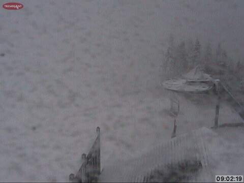 Winter Storm WhiteOut ... We'll take it!