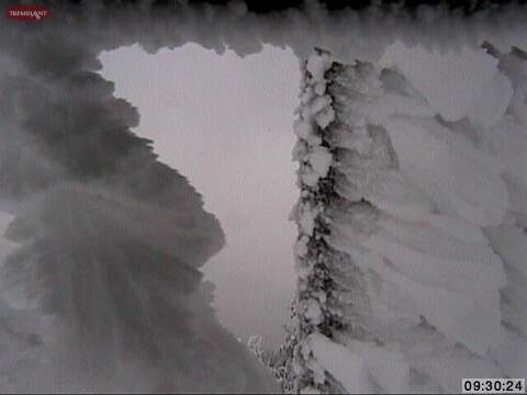 This is the best and only view out of the summit web cams this morning as the big snow storm has coated the web cam protective shell except for this tiny corner looking out towards the Lowell Thomas Chair. The windblown shapes of snow make an interesting and dramatic statement about the wind that shaped them.