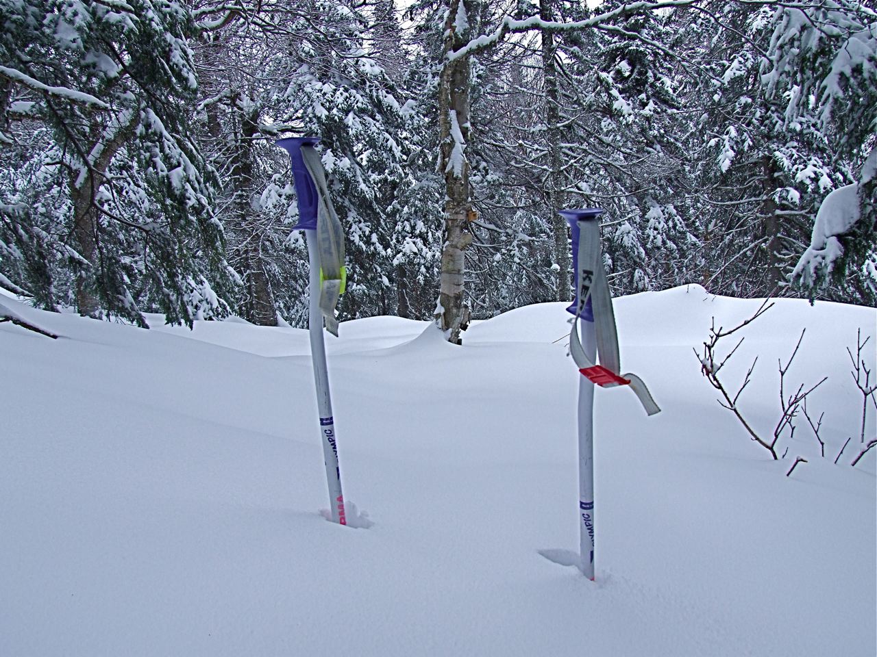 www.tremblant360.com photo. All rights reserved.