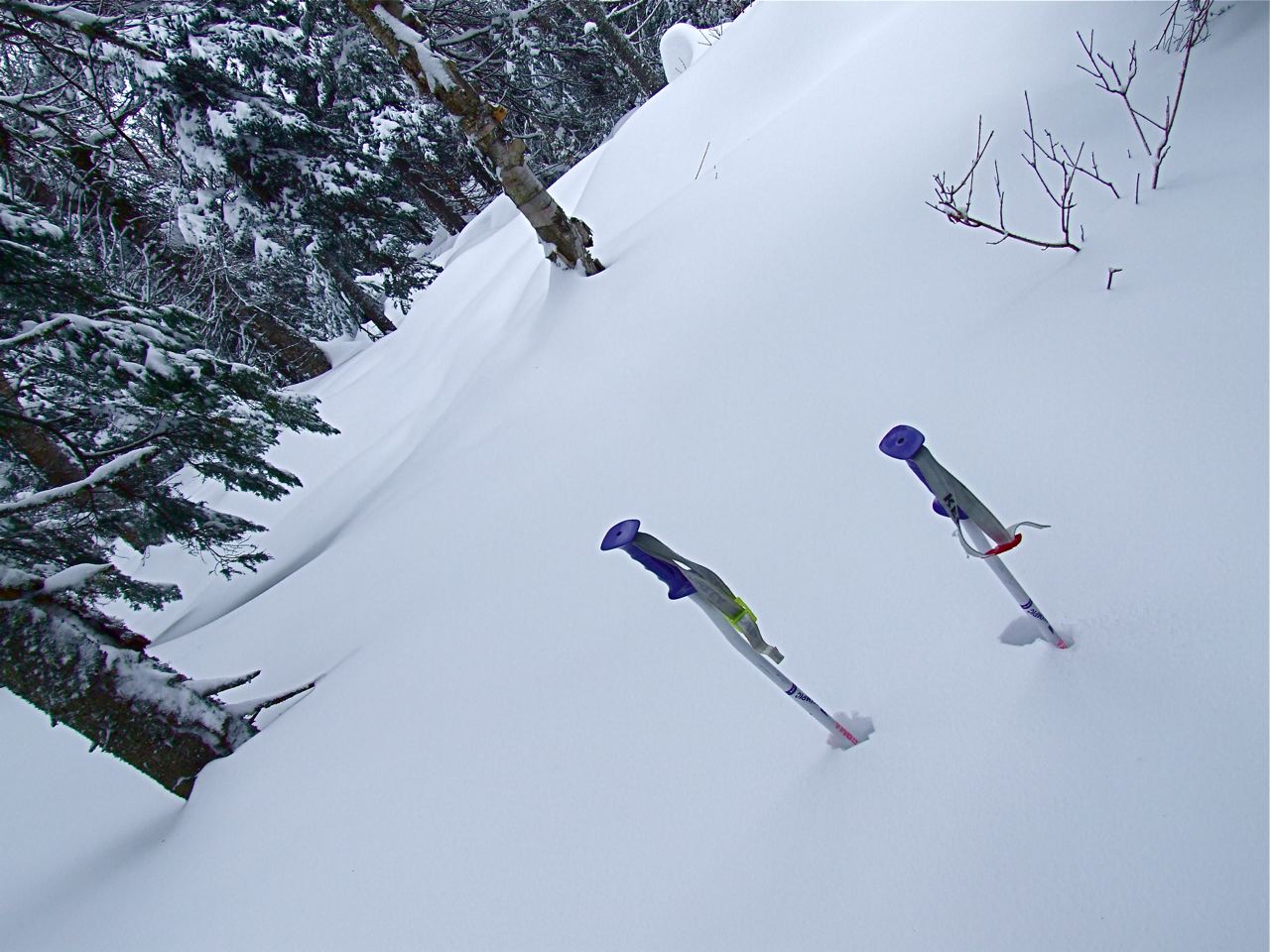 www.tremblant360.com photo. All rights reserved.