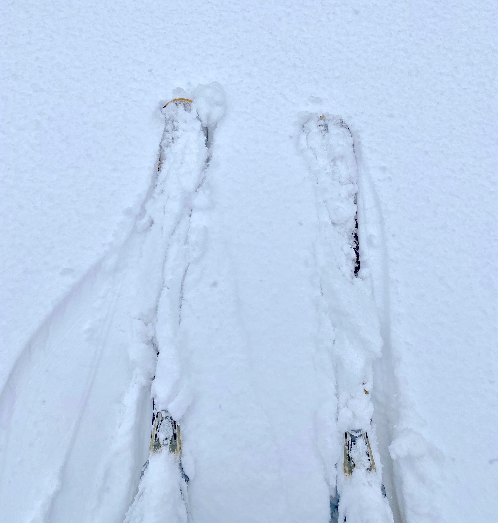www.Tremblant360.com photo. All rights reserved.