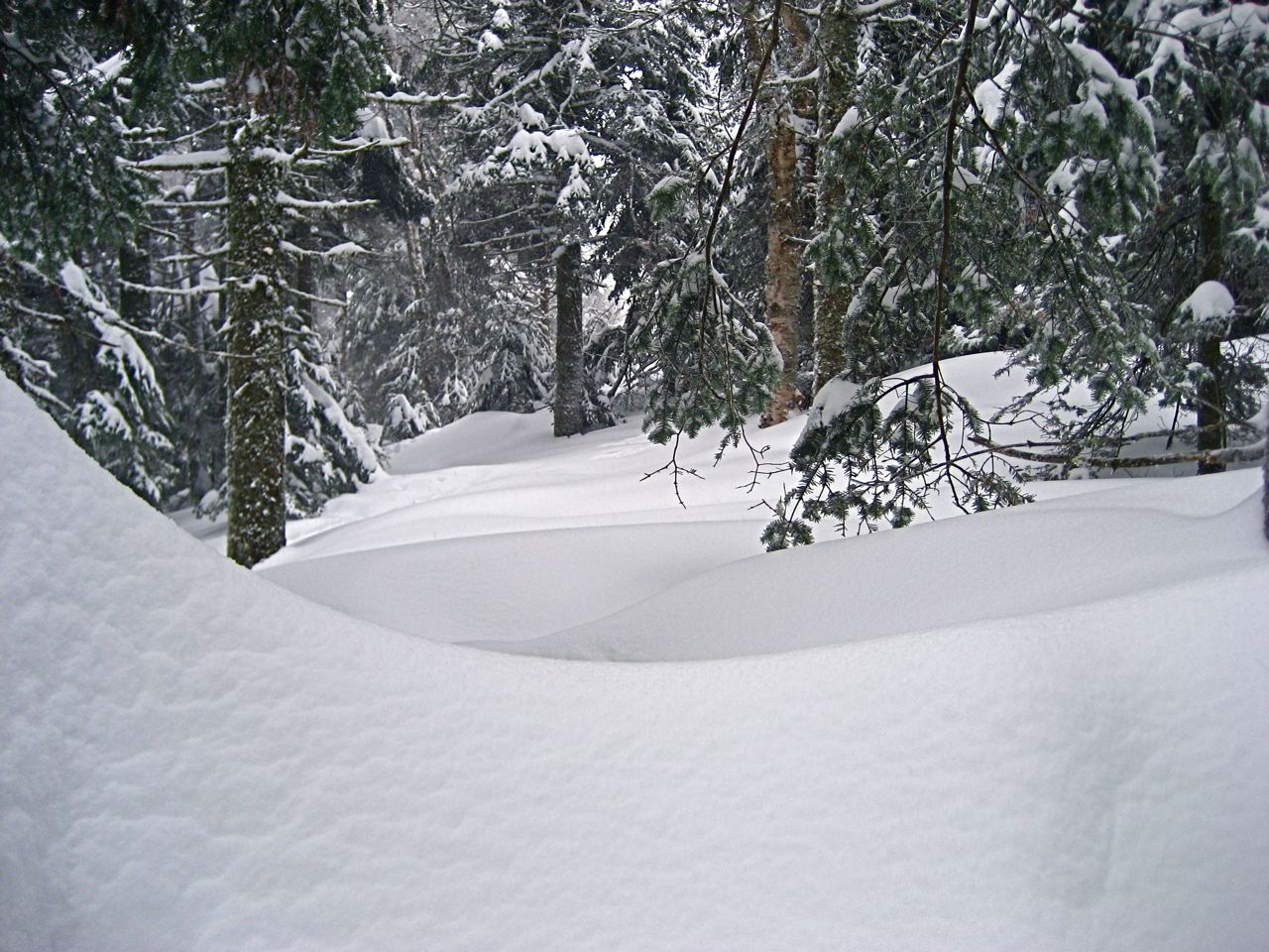www.tremblant360.com photo. All rights reserved.