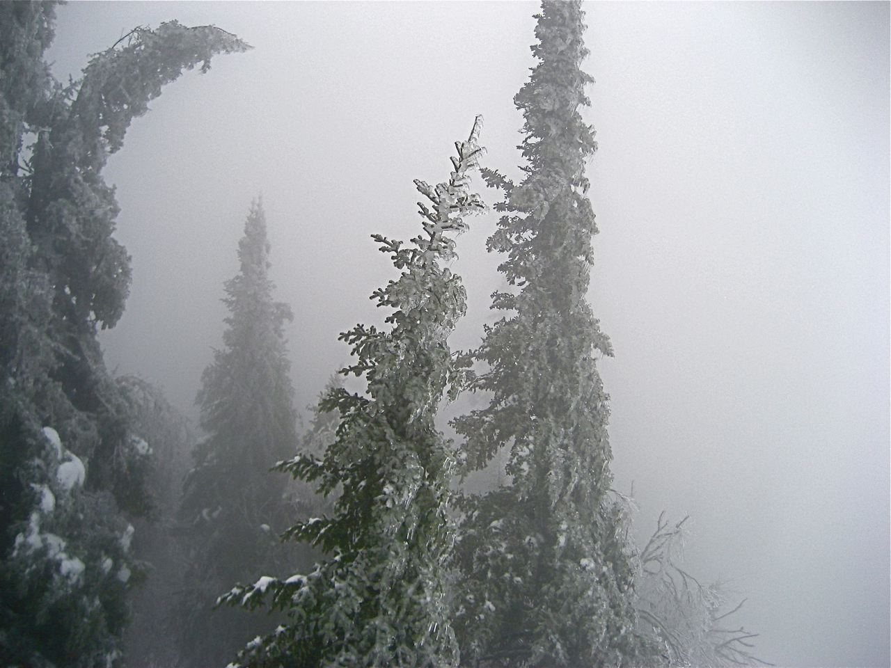 www.tremblant360.com photo. All rights reserved.