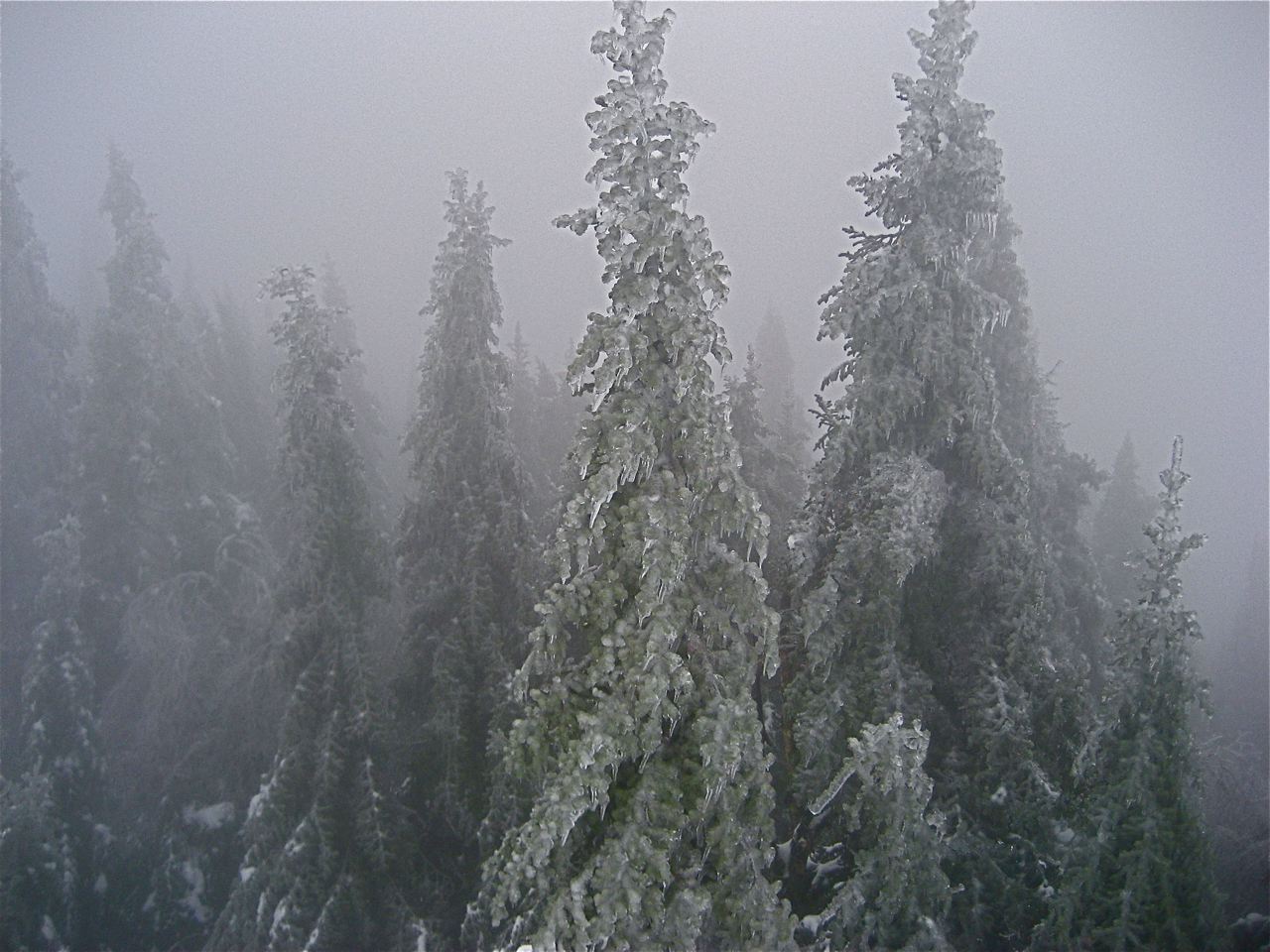 www.tremblant360.com photo. All rights reserved.