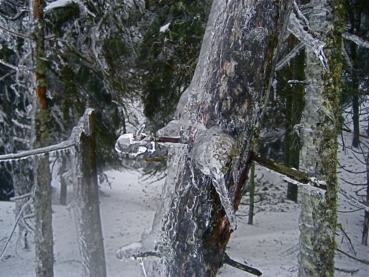 www.tremblant360.com photo. All rights reserved.