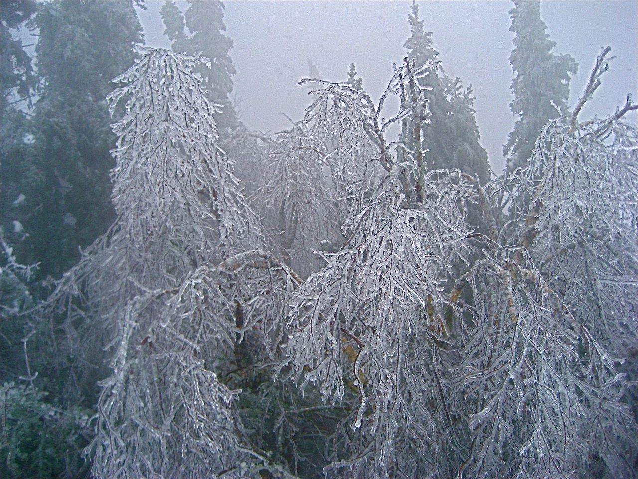 www.tremblant360.com photo. All rights reserved.
