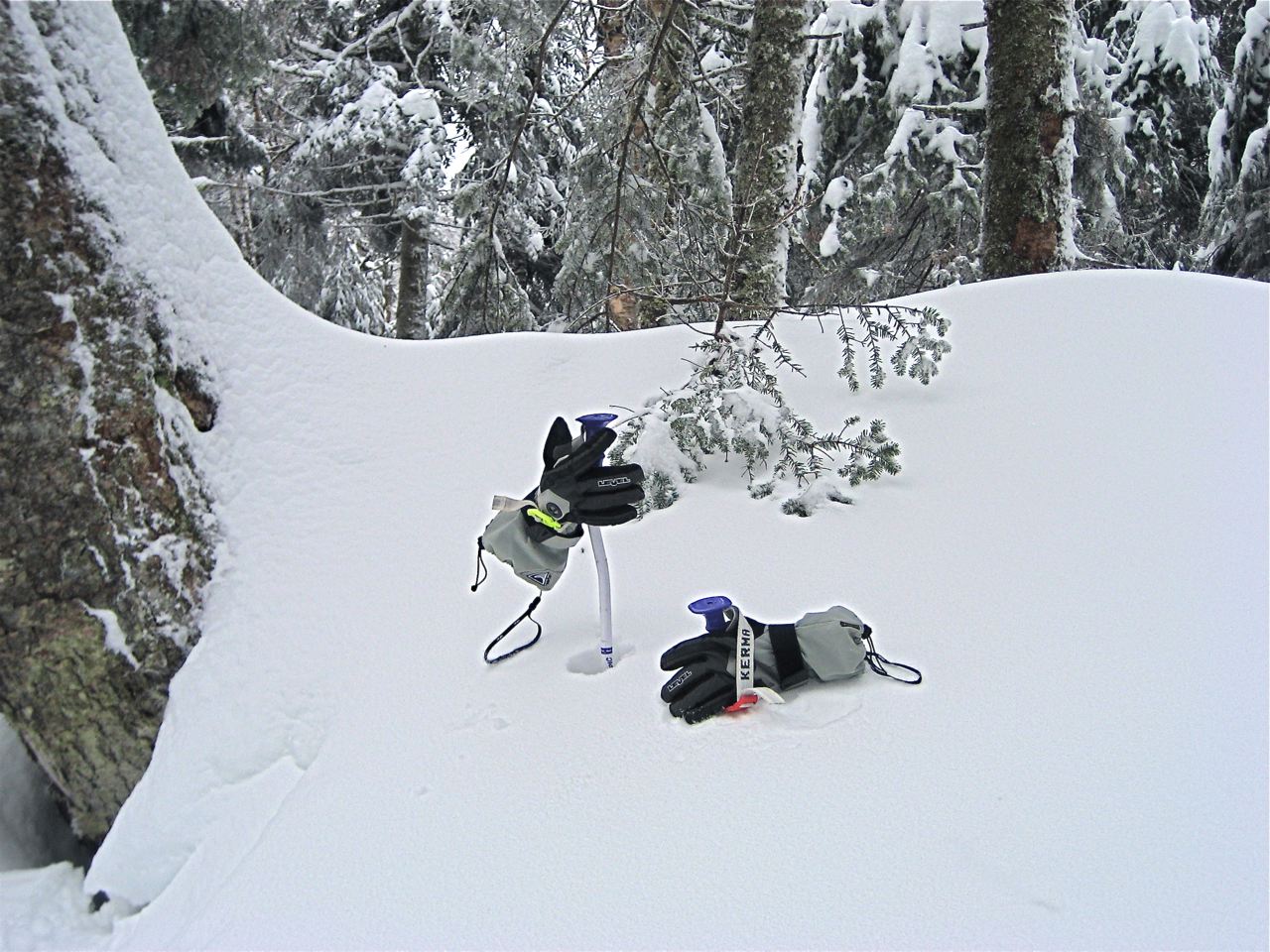 www.tremblant360.com photo. All rights reserved.