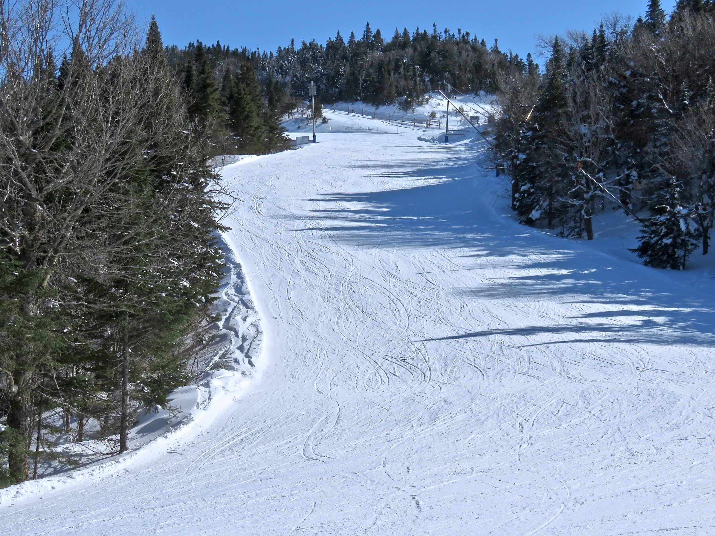 4.2.23.Ptit.Bonheur.Easy.Technical.Carving.c.jpg