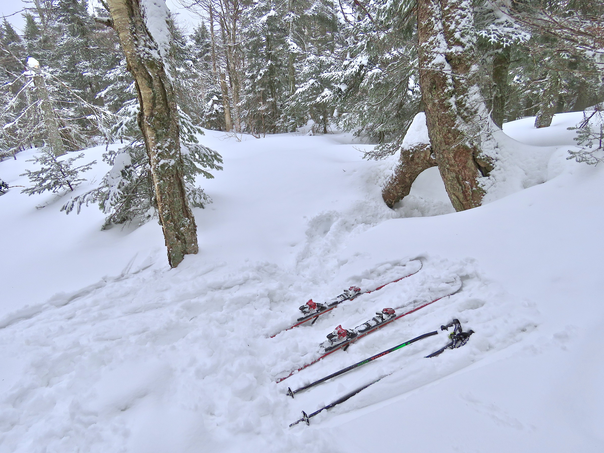 4.3.23.Nord.North.Lowell.Thomas.Trail.Side.Snowfall.Conditions.Observations.c.jpg