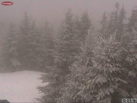 Web Cam Snap Shot Courtesy of www.tremblant.ca