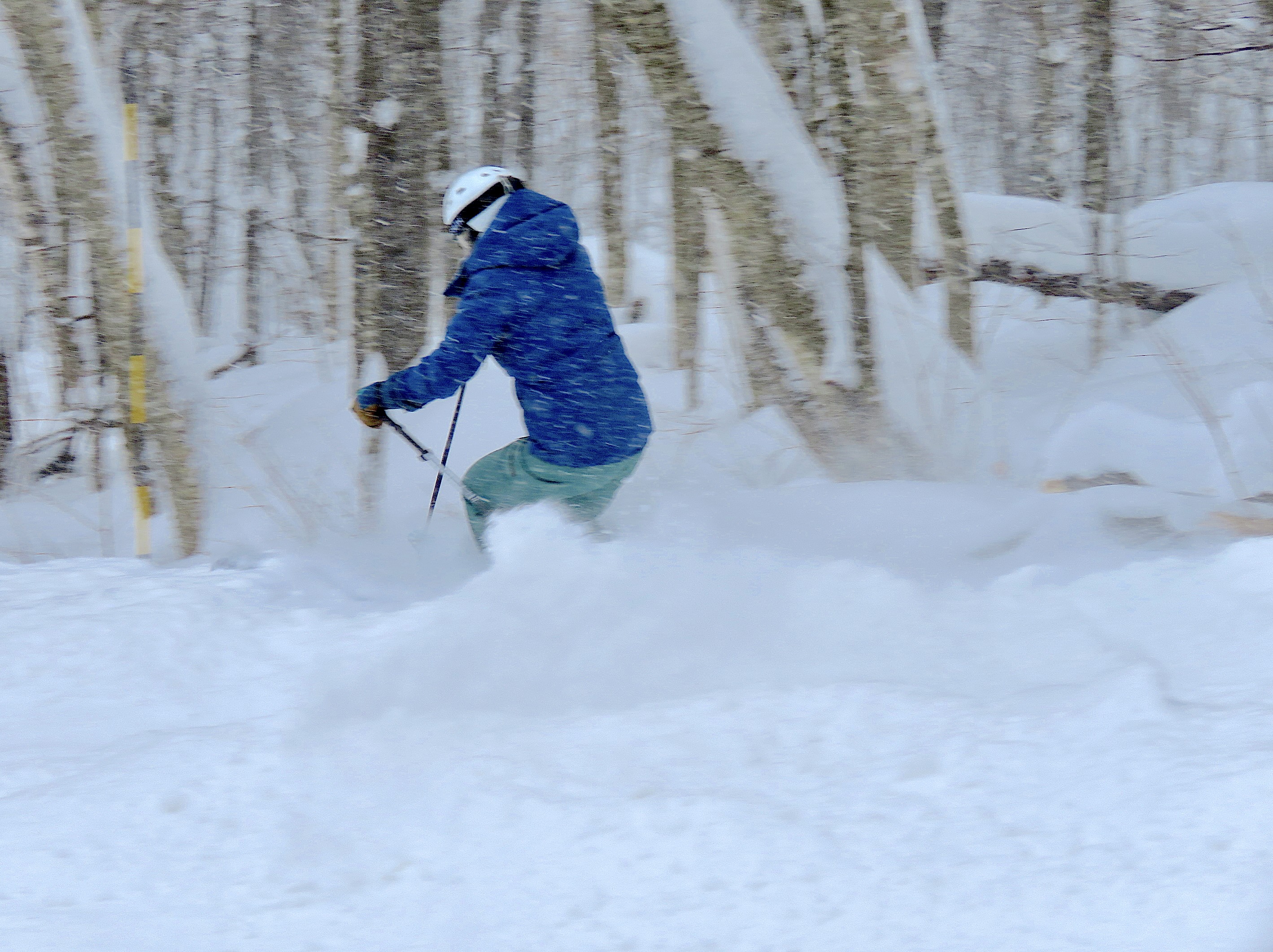 1.14.25.Duncan.Bas.Lower.Fresh.Snow.Powder.Lines.f.jpg