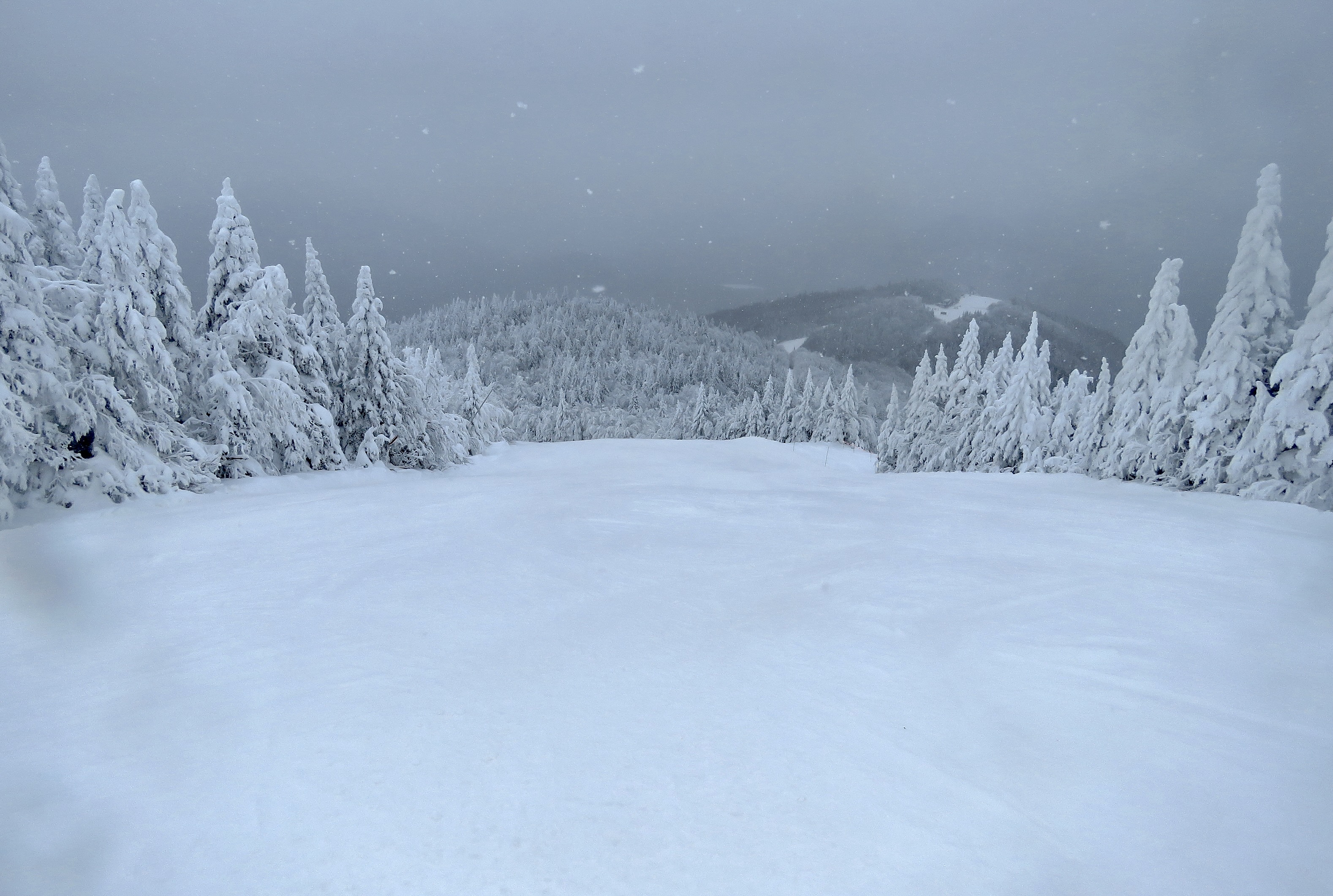 1.16.25.Nord.North.Lowell.Thomas.Open.Full.Colour.Black.And.White.Winter.Magic.d.jpg