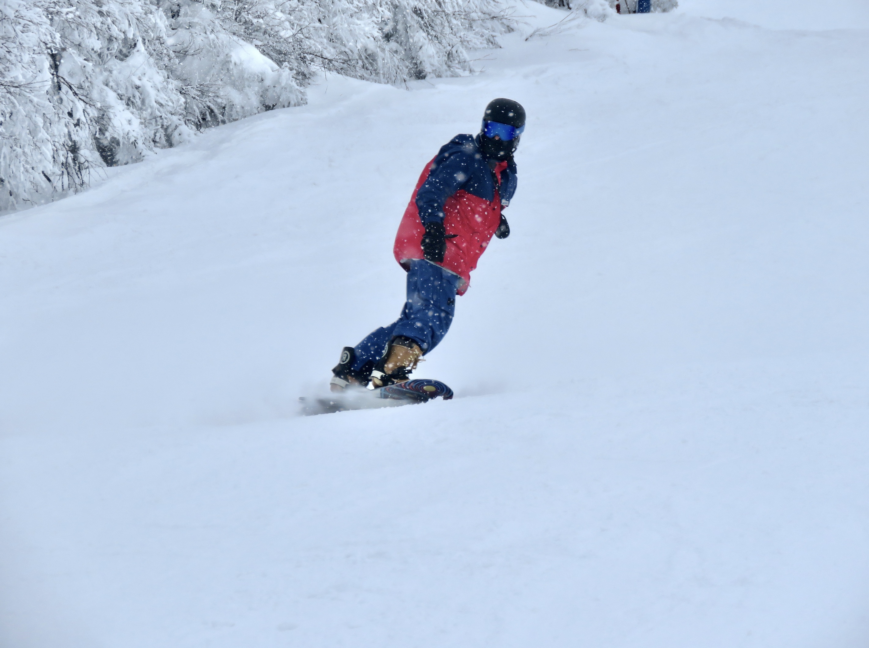 1.16.25.Sud.South.Beauvallon.Haut.Upper.Fine.Board.Traction.Action.c.jpg