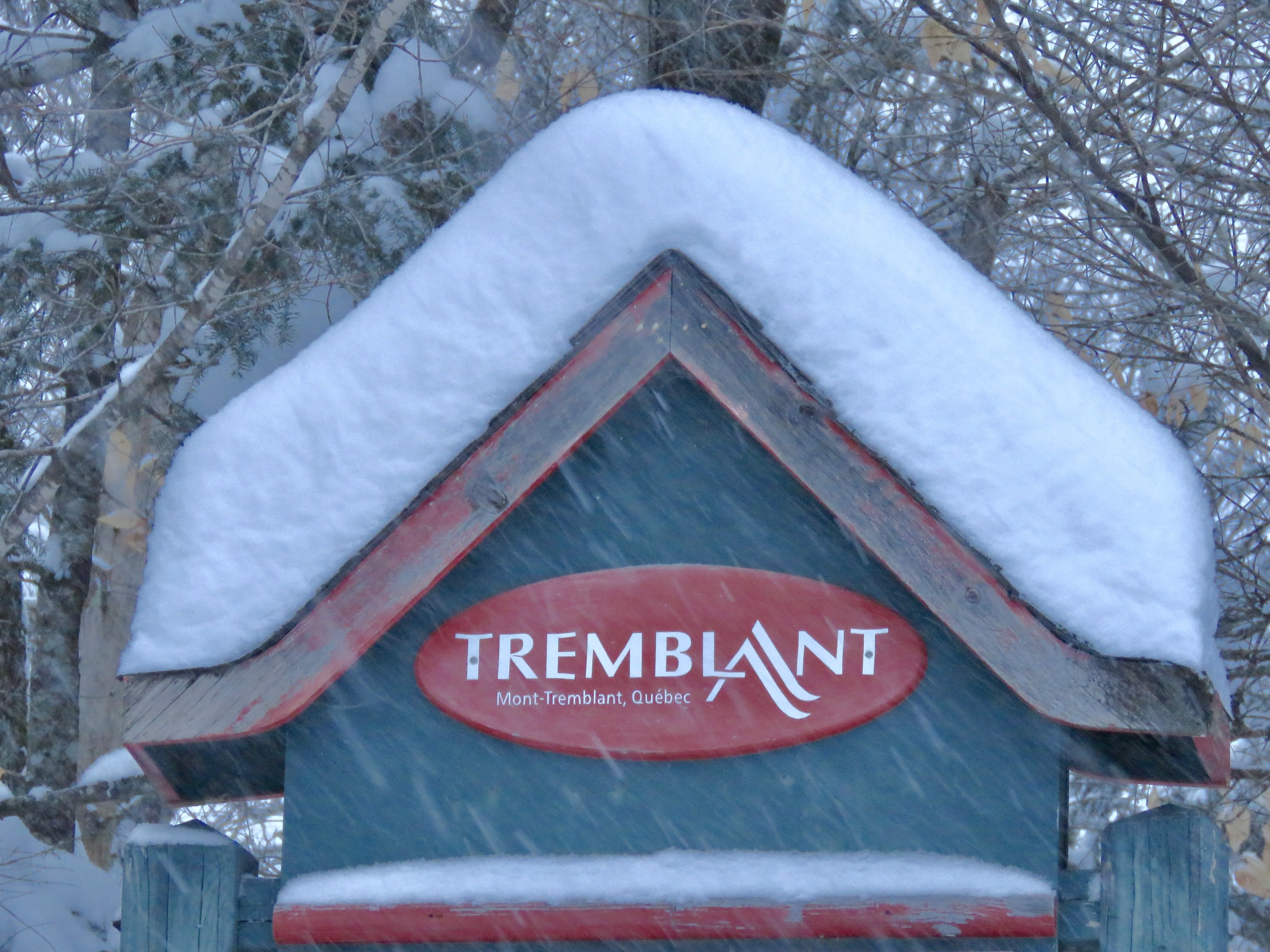 1.23.25.Nord.North.Signs.Of.Great.Skiing.c.jpg