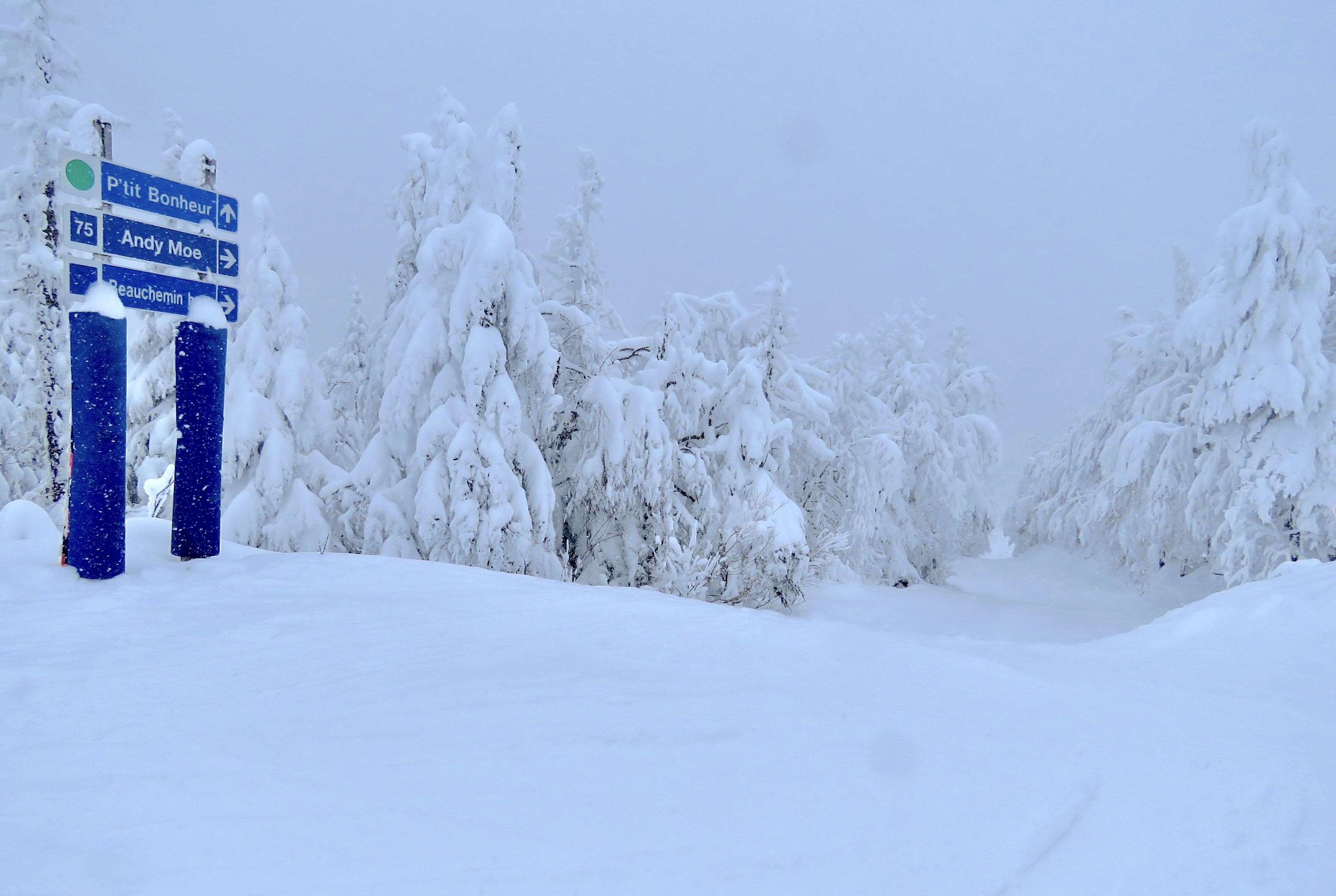 1.23.25.Nord.North.Signs.Of.Great.Skiing.At.Andy.Moe.b.jpg