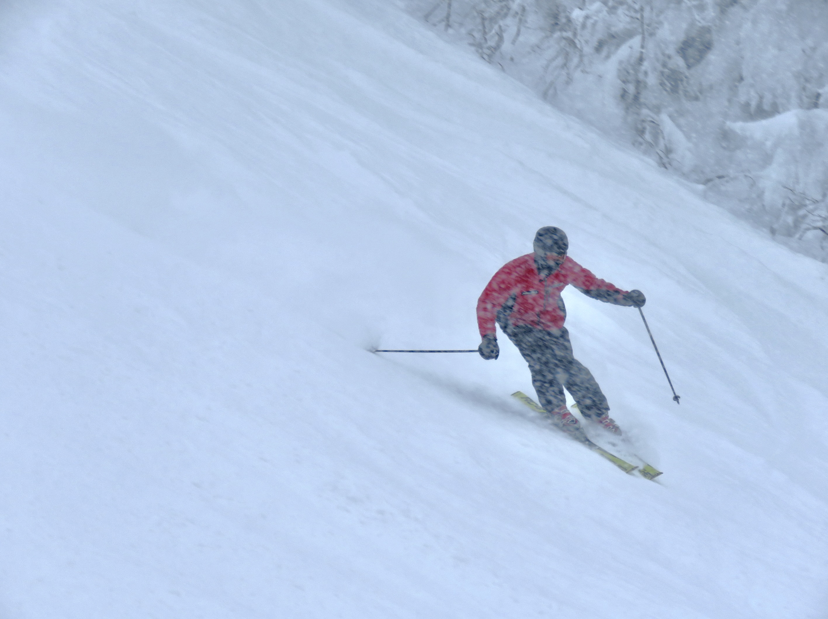 1.23.25.Sud.South.TGV.Quad.Views.McCulloch.Snowy.Summit.Pitch.d.jpg