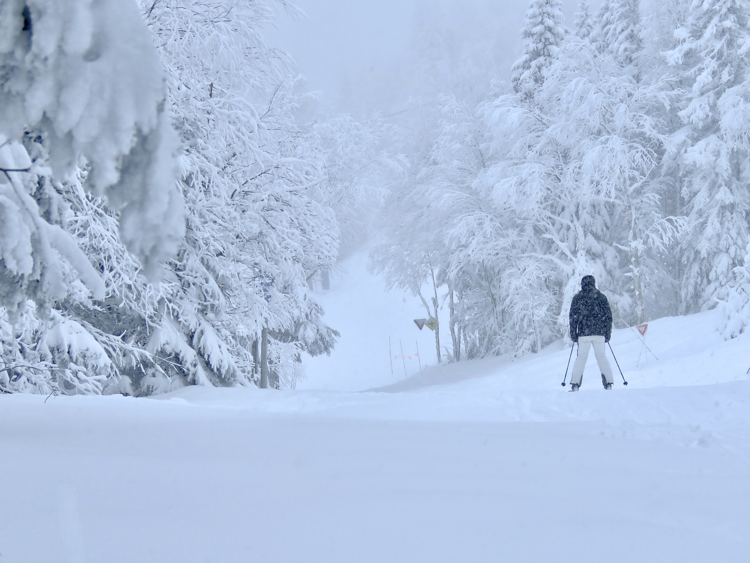 1.26.25.Nord.North.Lowell.T.To.Devils.River.Cat.Track.Super.Snowy.Conditions.Sample.d.jpg