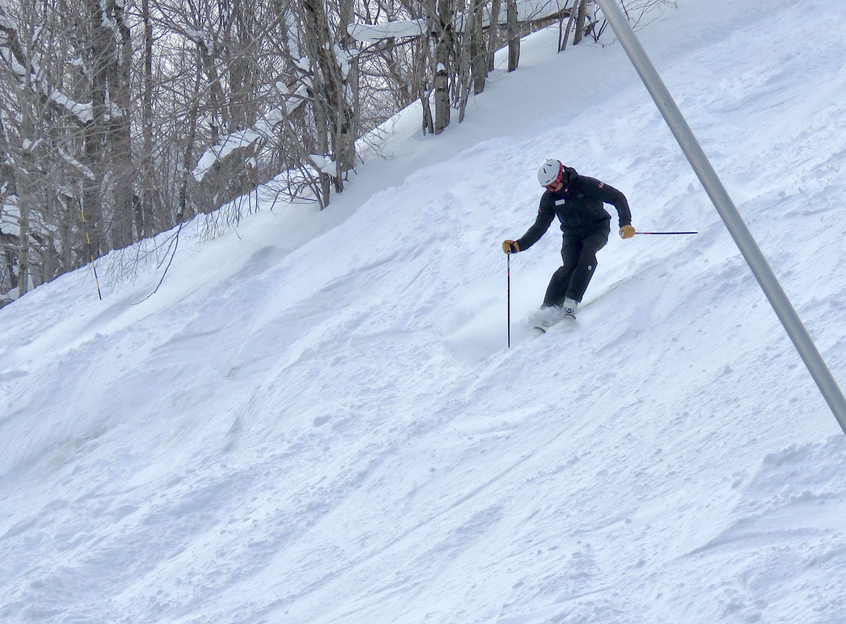 1.31.25.Expo.Pitch.Soft.Mogul.Action.d.jpg