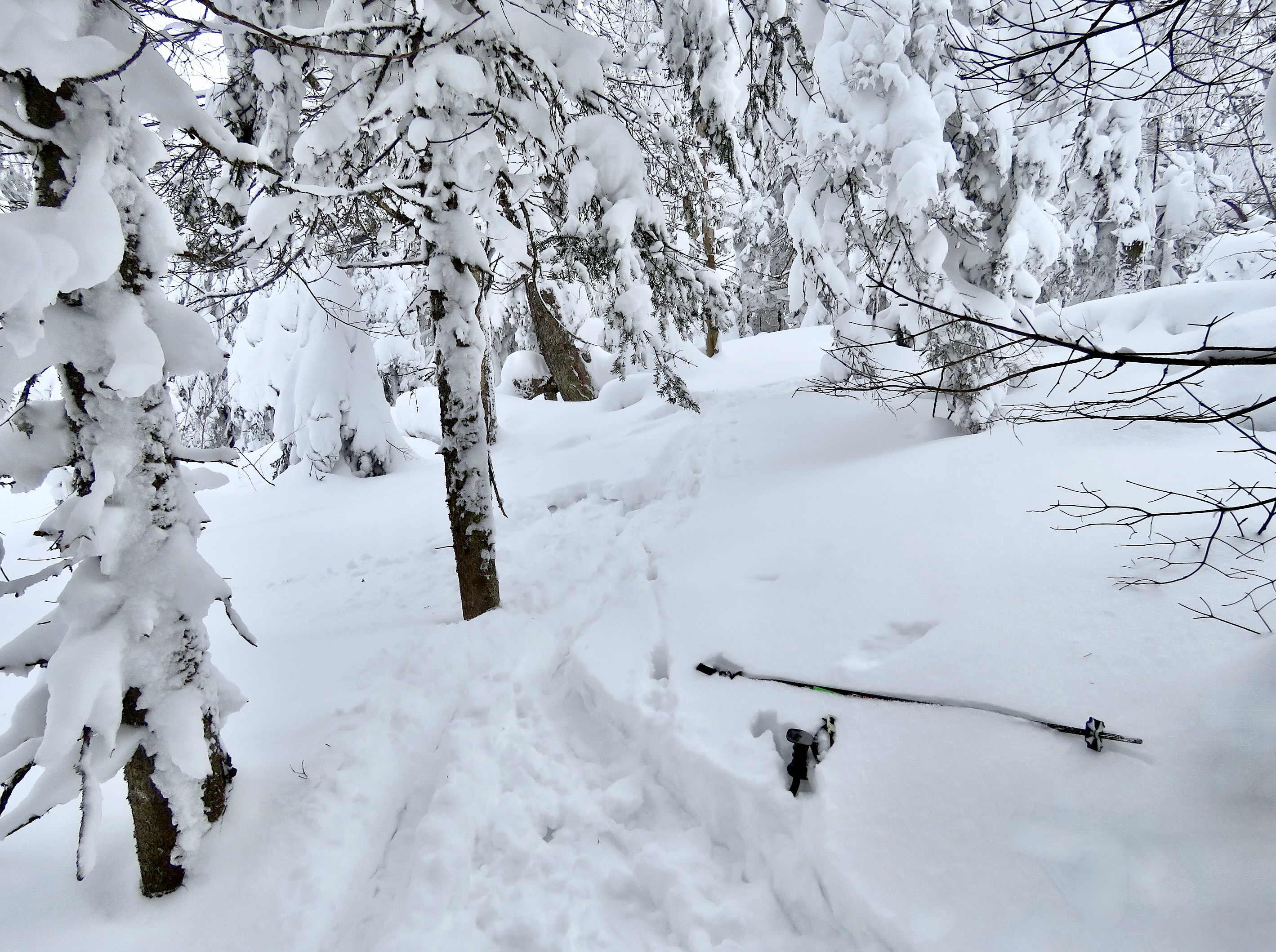 1.31.25.Nord.North.Lowell.Thomas.Sector.Open.Hors.Piste.Proof.Of.Snow.c.jpg